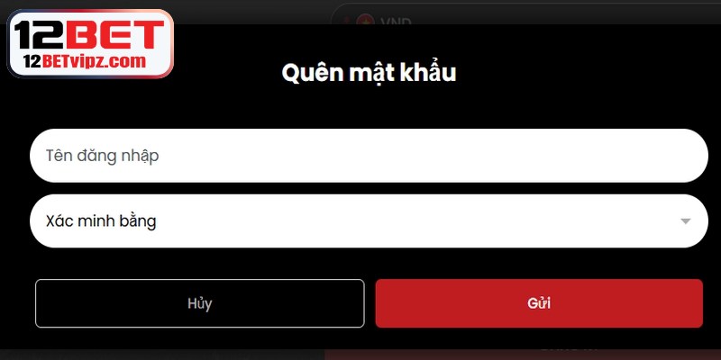 Link Vào 12BET – Trải Nghiệm Cá Cược Trực Tuyến Uy Tín 9 Kinh nghiệm tối ưu khi đổi mật khẩu 12BET